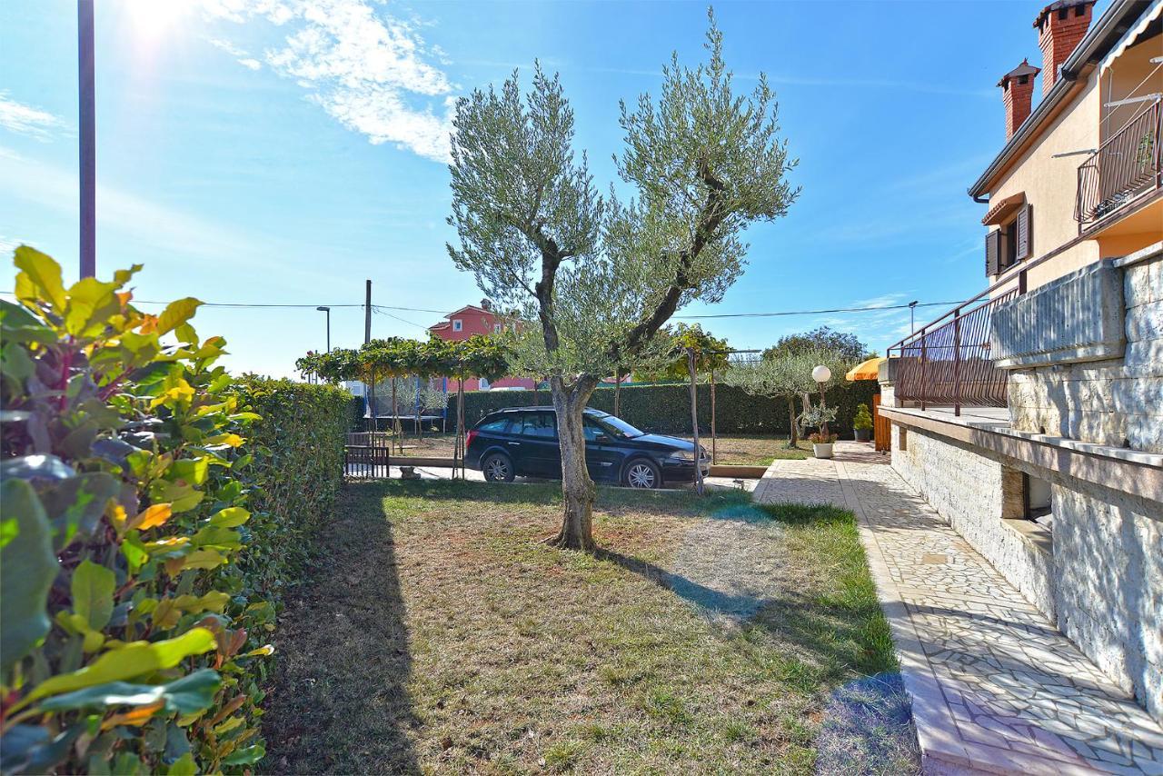 Apartment Ana 379