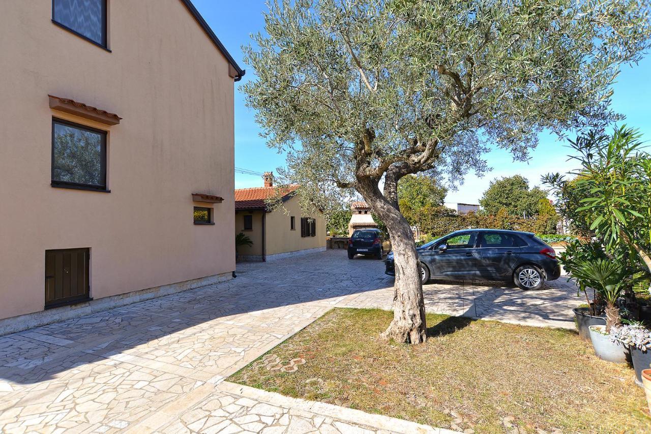 Apartment Ana 379